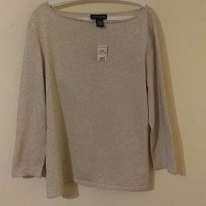 Ann Taylor Sweater